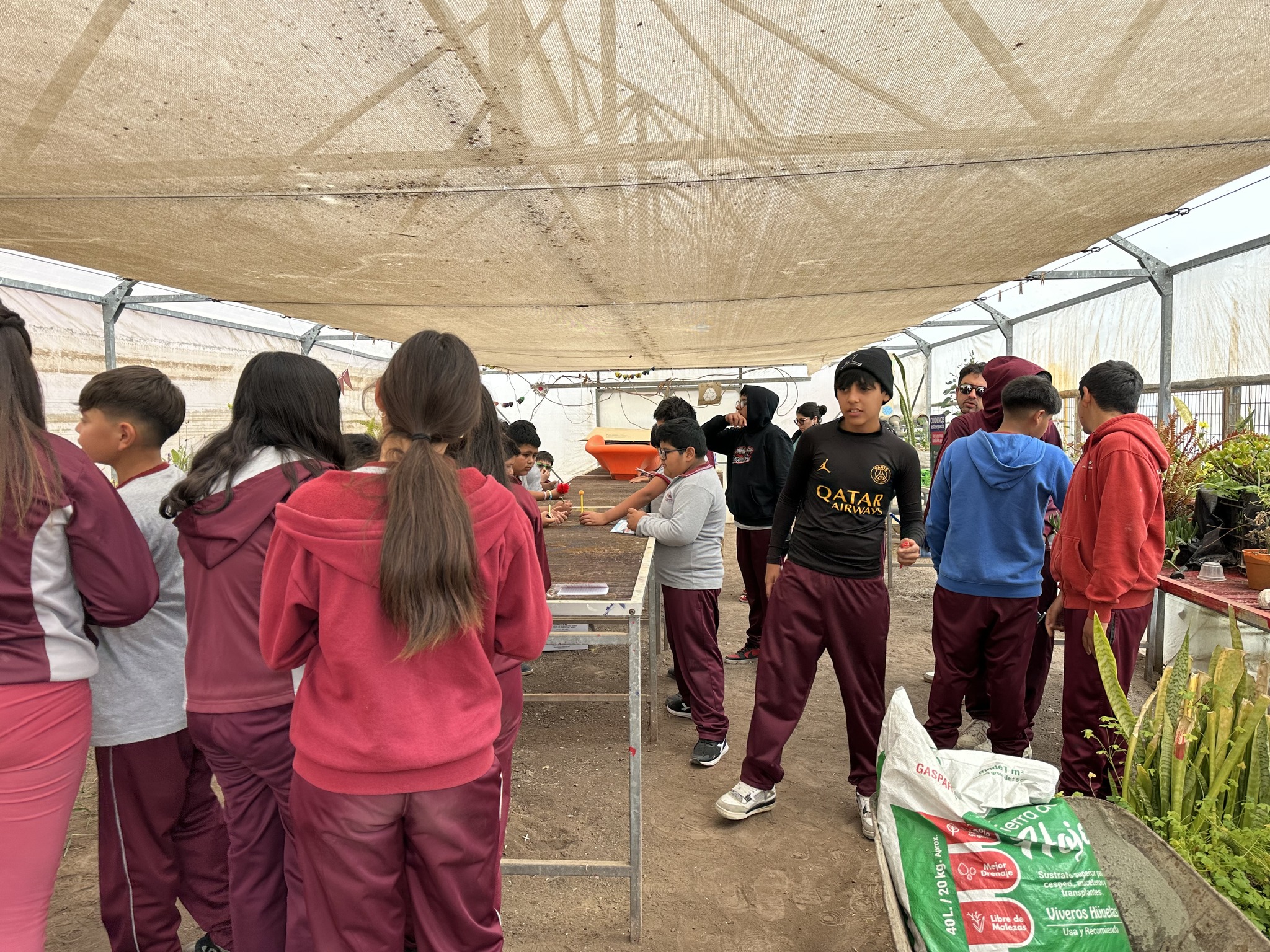 Alumnos de Paposo aprenden sobre semillas y cultivo en taller de huerto escolar.
