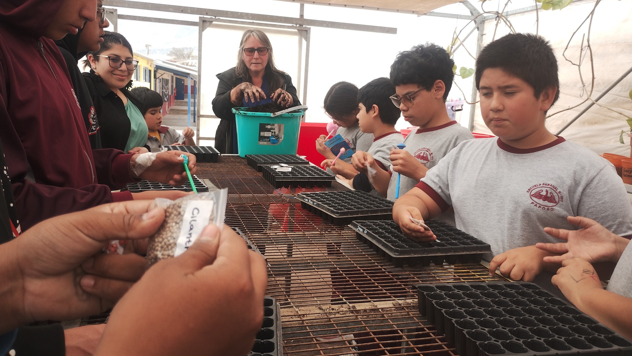 Estudiantes y vecinos de Taltal participando en la jornada de limpieza de playas 2025, organizada por la municipalidad junto a instituciones públicas y privadas.