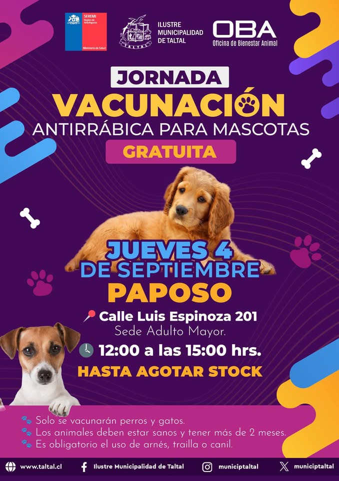 Afiche municipal: jornada gratuita de vacunación antirrábica para mascotas en Paposo, jueves 4 de septiembre, Calle Luis Espinoza 201, de 12:00 a 15:00 horas.