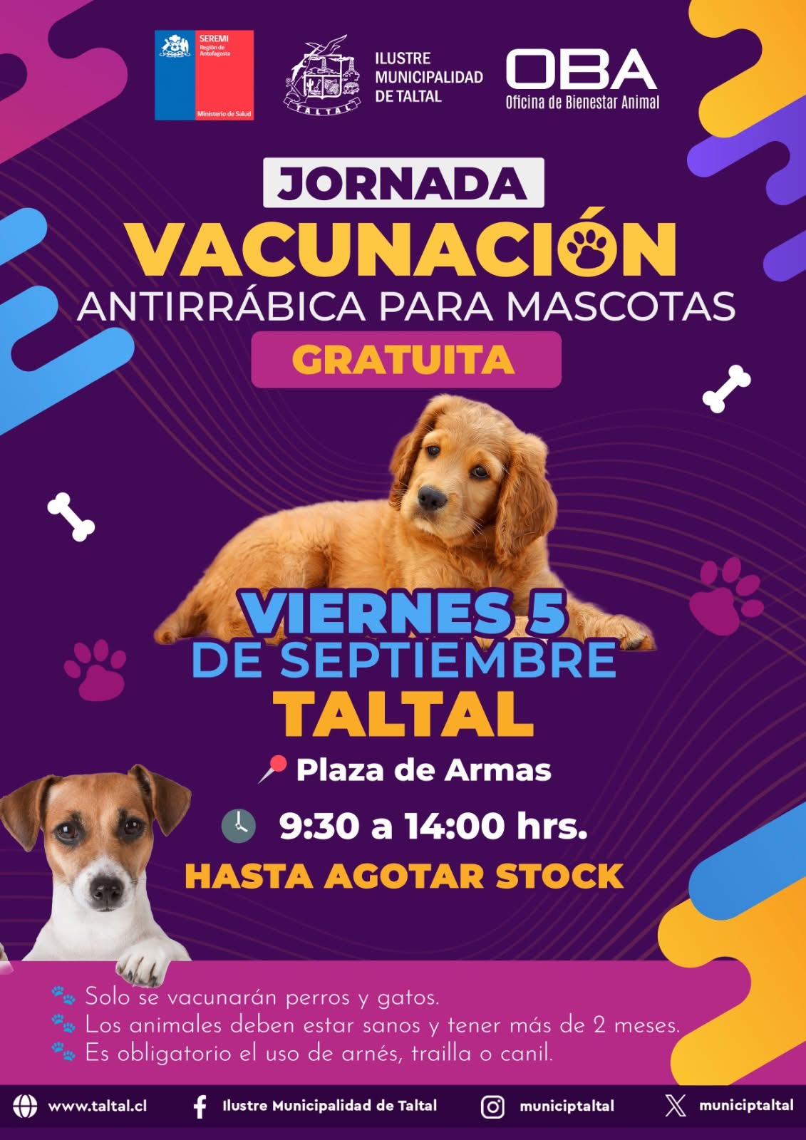 Afiche municipal: jornada gratuita de vacunación antirrábica para mascotas en Taltal, viernes 5 de septiembre, Plaza de Armas, de 9:30 a 14:00 horas.