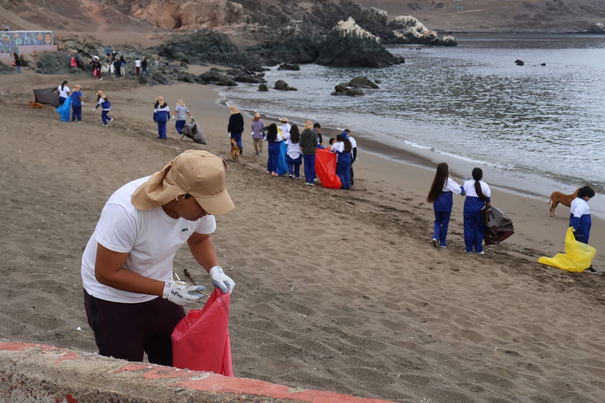 Jóvenes voluntarios recolectan residuos en la arena durante la limpieza de playas en Taltal.