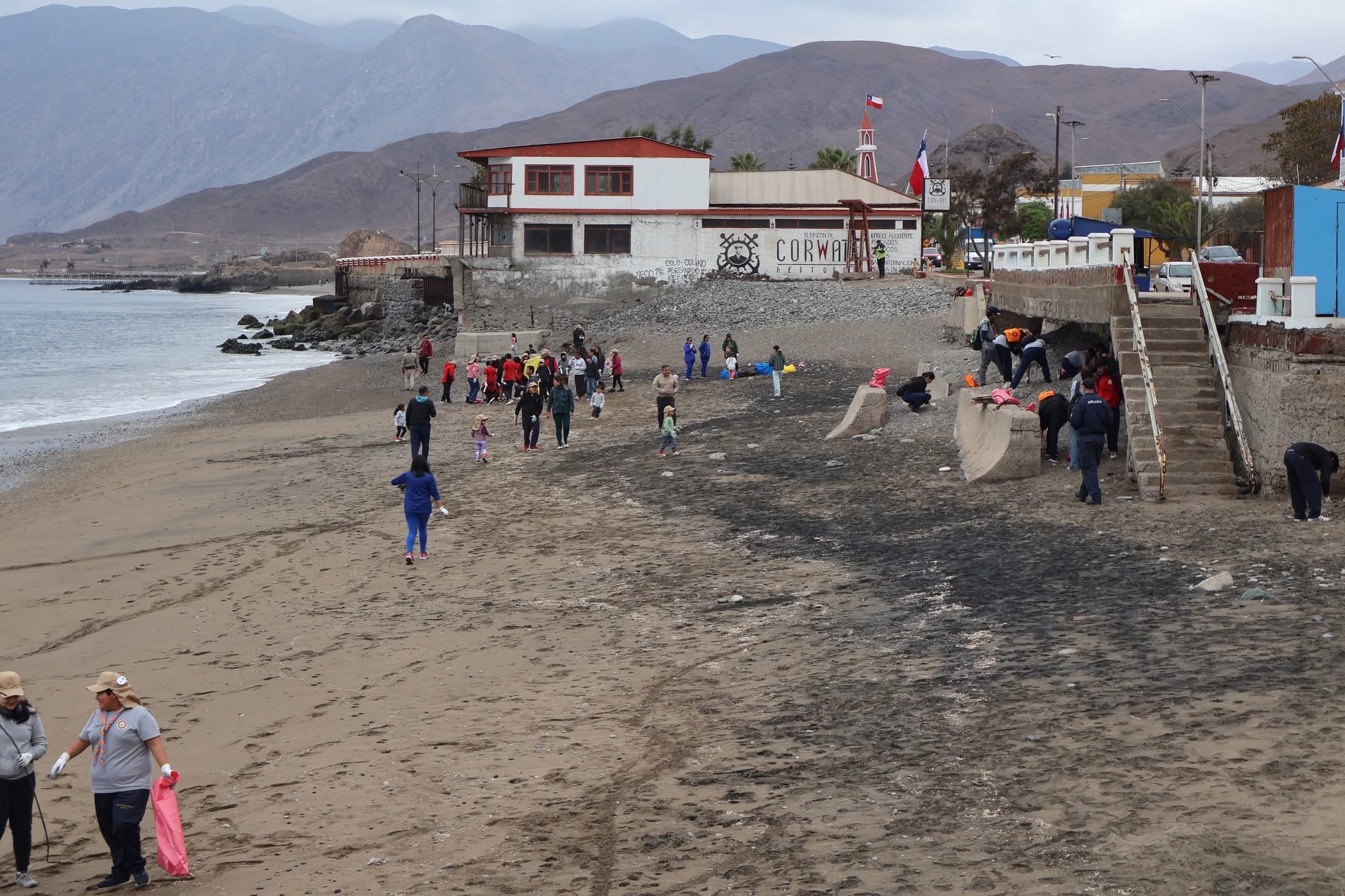 Vista panorámica de la playa de Taltal con decenas de voluntarios recolectando residuos en la arena.