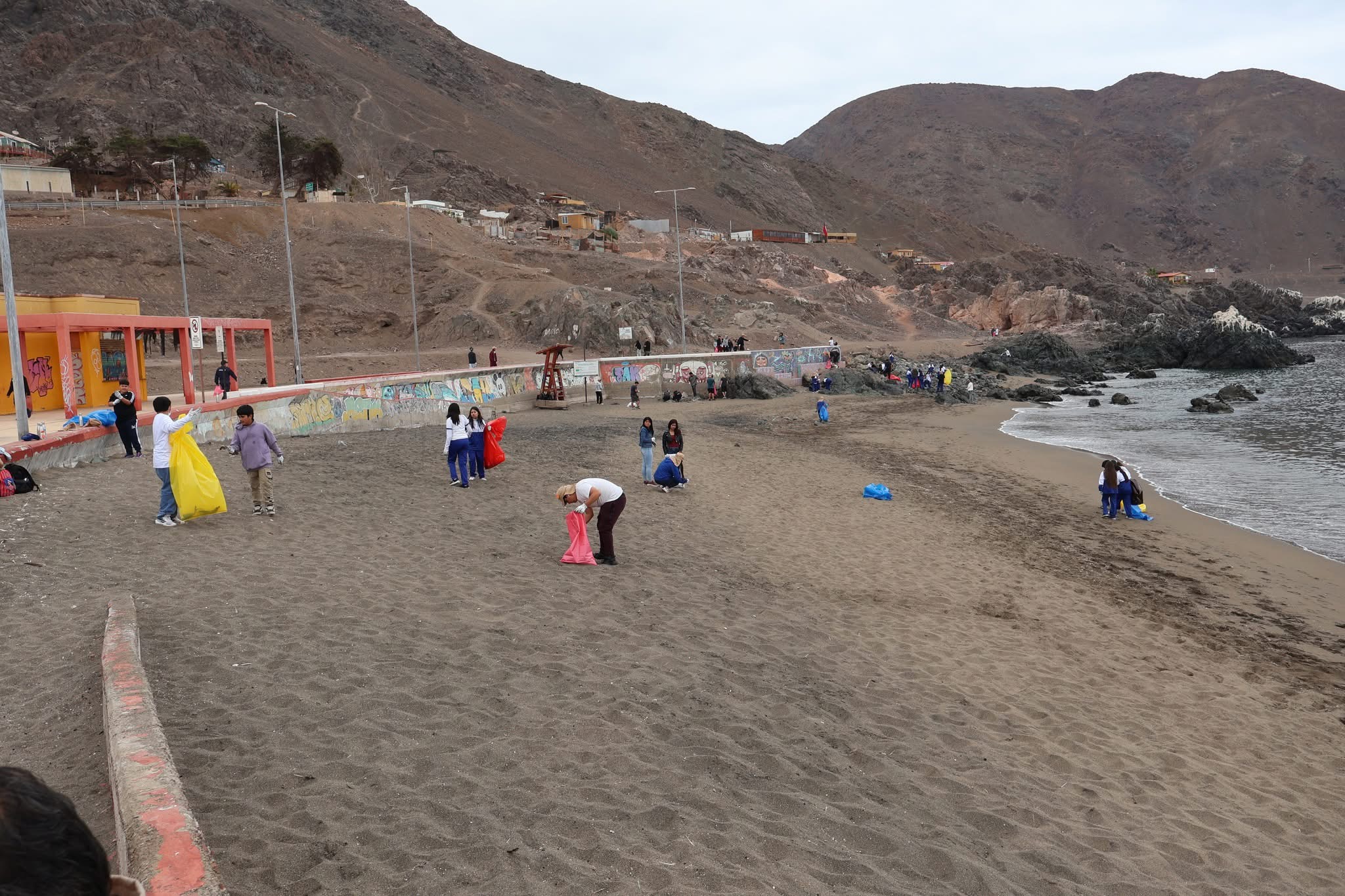 Estudiantes y vecinos de Taltal limpiando la arena en el sector costero central durante el Día Nacional de la Limpieza de Playas 2025.