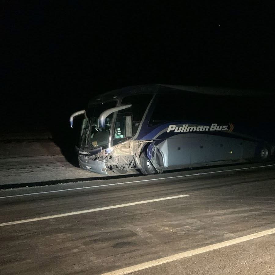 Estudiantes y vecinos de Taltal participando en la jornada de limpieza de playas 2025, organizada por la municipalidad junto a instituciones públicas y privadas.