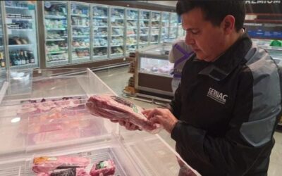 Fiscalización de Fiestas Patrias en Antofagasta: casi la mitad derivan en sumarios y hay cuatro cierres de locales