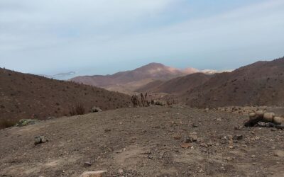 Taltal mejora su conectividad: CORE aprueba recursos para reparar la Ruta Quebrada El Hueso y acceso al Vertedero Municipal