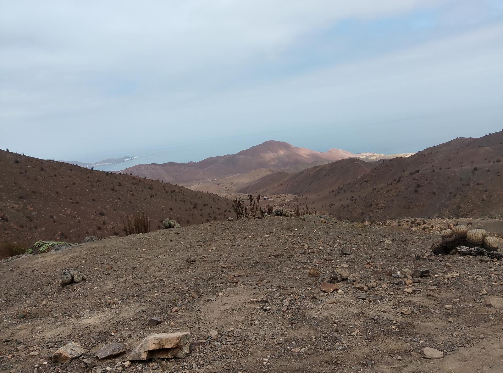 quebrada-el-hueso-taltal.jpg Funcionarios de Sernapesca y Armada fiscalizando plantas de procesamiento de algas en Taltal durante la incautación de 2,4 toneladas de huiro negro ilegal.