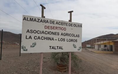 Comienza AGROTALTAL 2025: la feria costumbrista que celebra las raíces agrícolas de Taltal