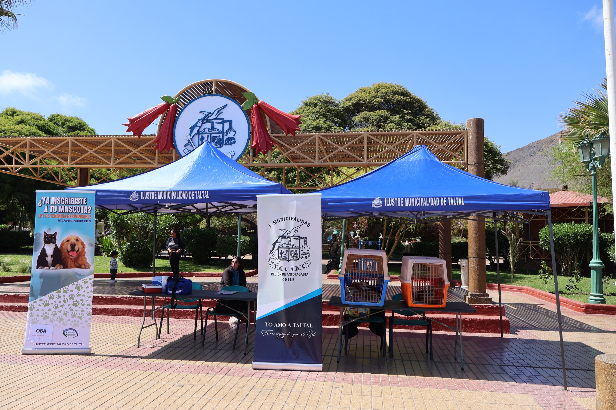 Vista general de los toldos de la Municipalidad de Taltal durante la jornada de adopción responsable “Un amigo para toda la vida”.
