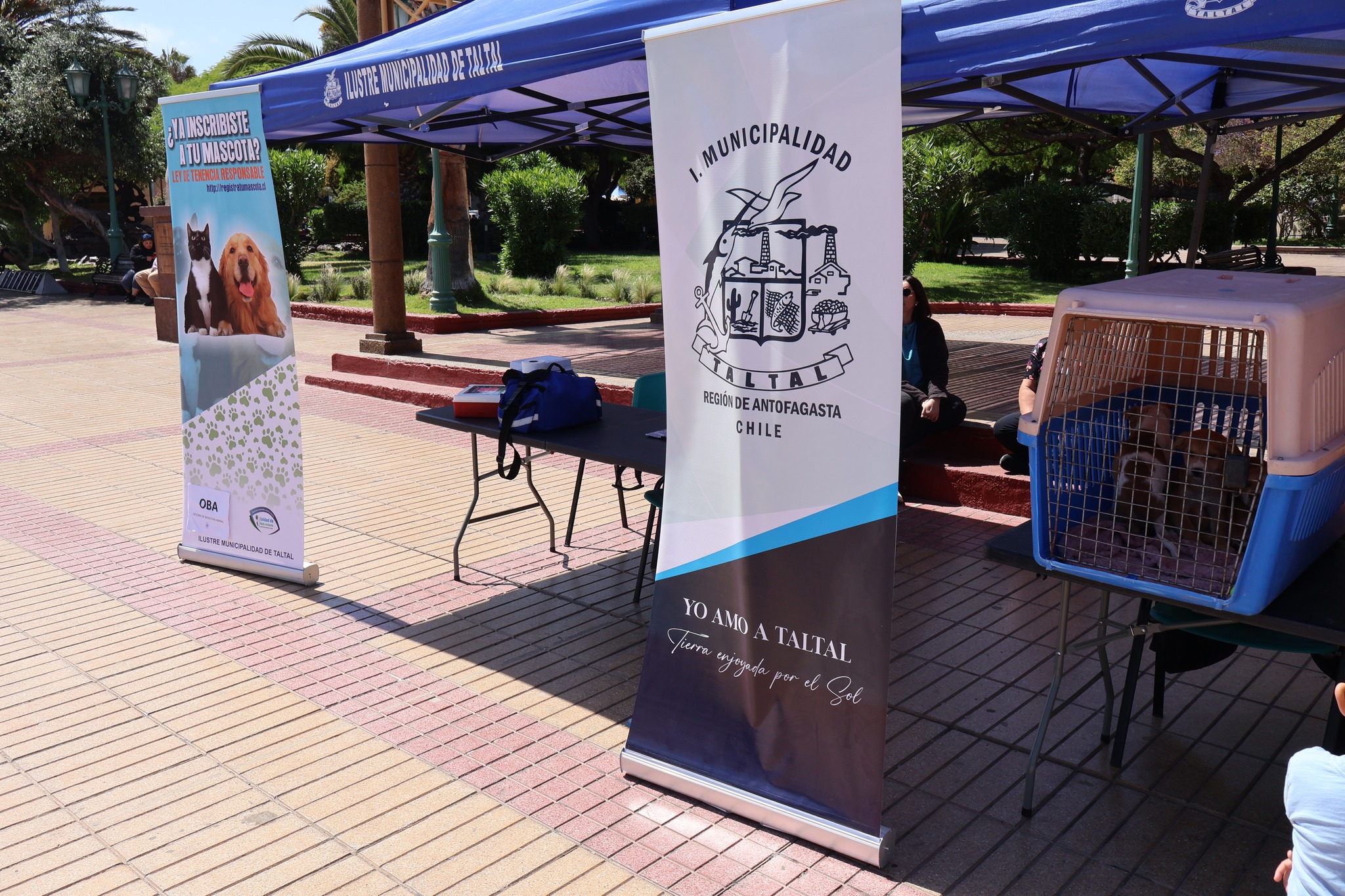 Stand informativo de la Oficina de Bienestar Animal y Municipalidad de Taltal durante la jornada de adopción responsable en Plaza de Armas de Taltal.