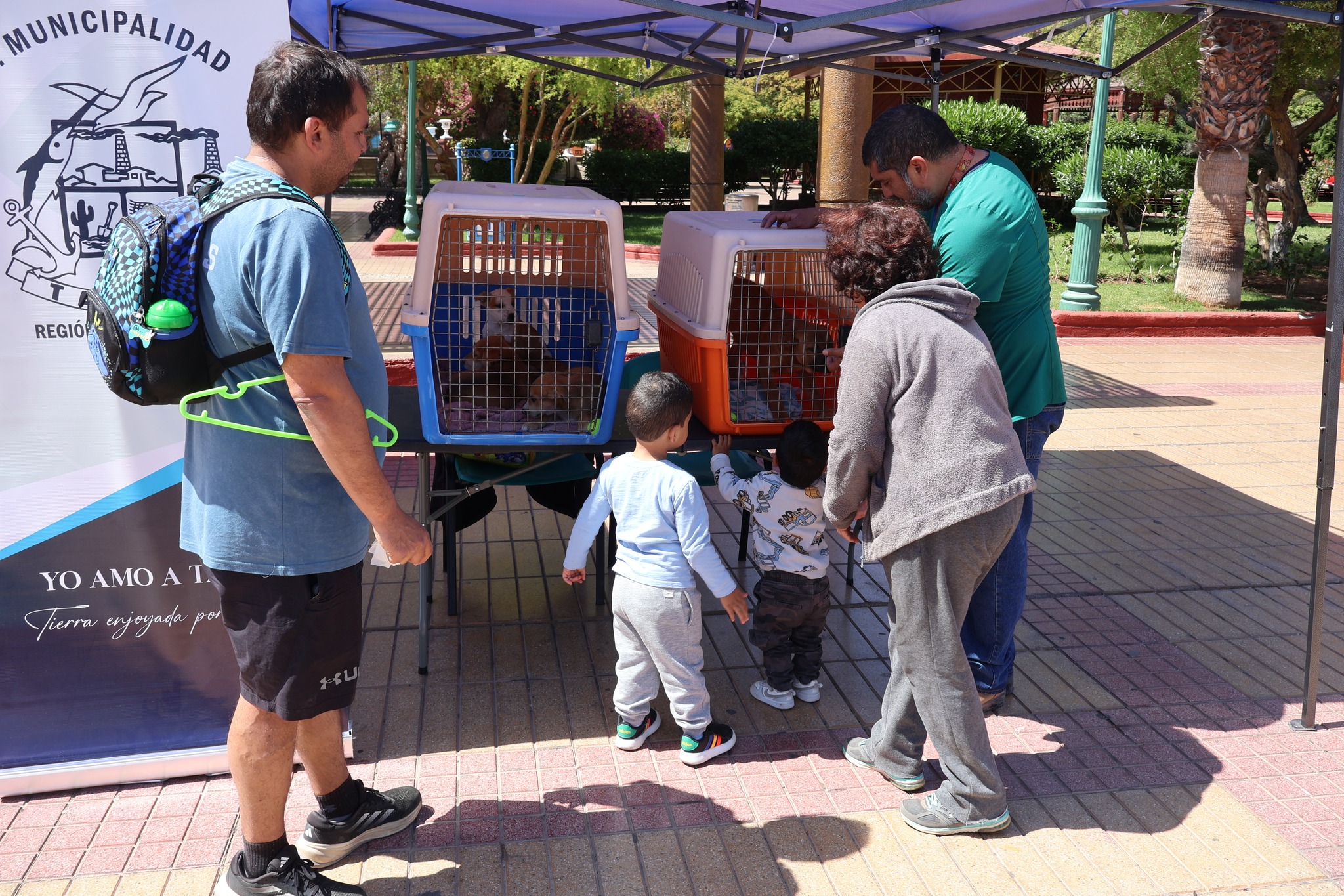 Vecinos y niños observan a los perritos en adopción junto al equipo de la Oficina de Bienestar Animal durante la jornada en la Plaza Prat de Taltal.