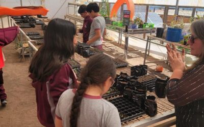 Taller de Huerto Escolar en Paposo promueve la vida saludable y el respeto por la naturaleza