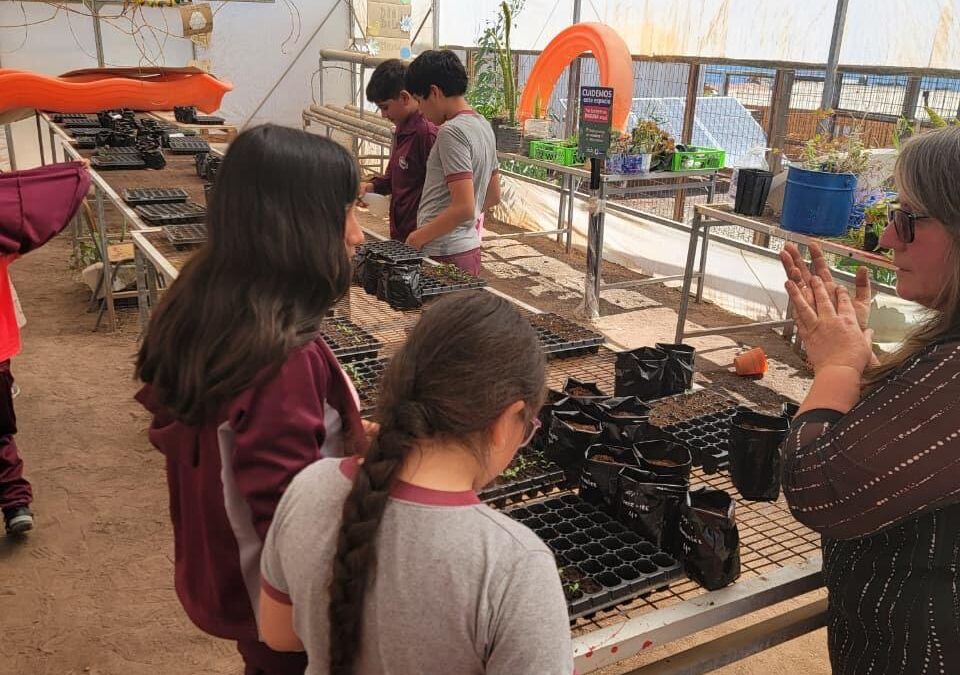 Taller de Huerto Escolar en Paposo promueve la vida saludable y el respeto por la naturaleza