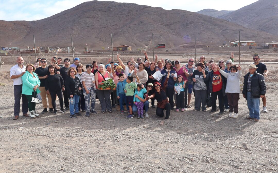 Feria AgroTaltal 2025: Primera fecha en La Cachina destacó la producción local e identidad agrícola de la comuna de Taltal