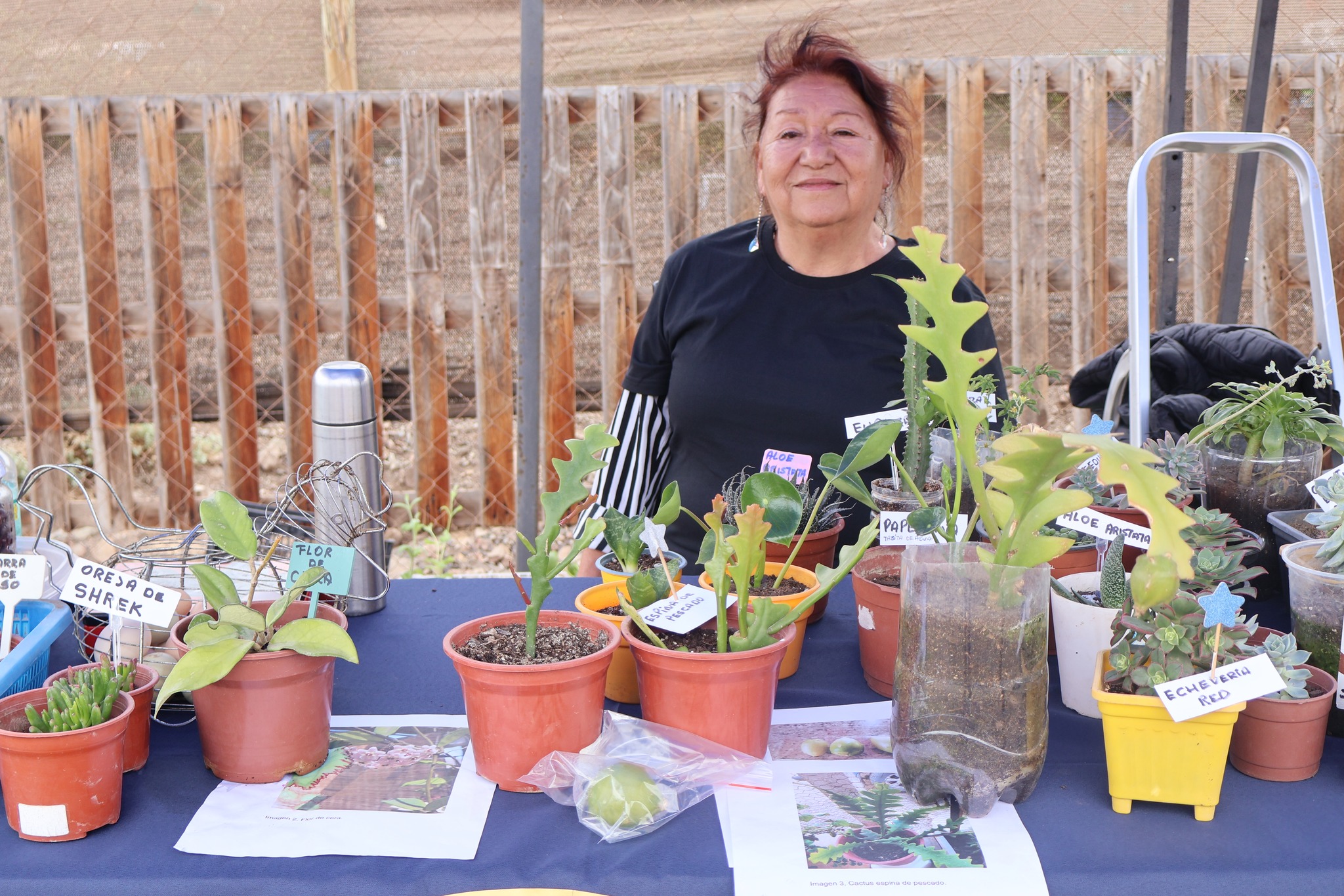 Vecina emprendora presenta su colección de suculentas y cactus en maceteros reciclados durante AgroTaltal 2025.