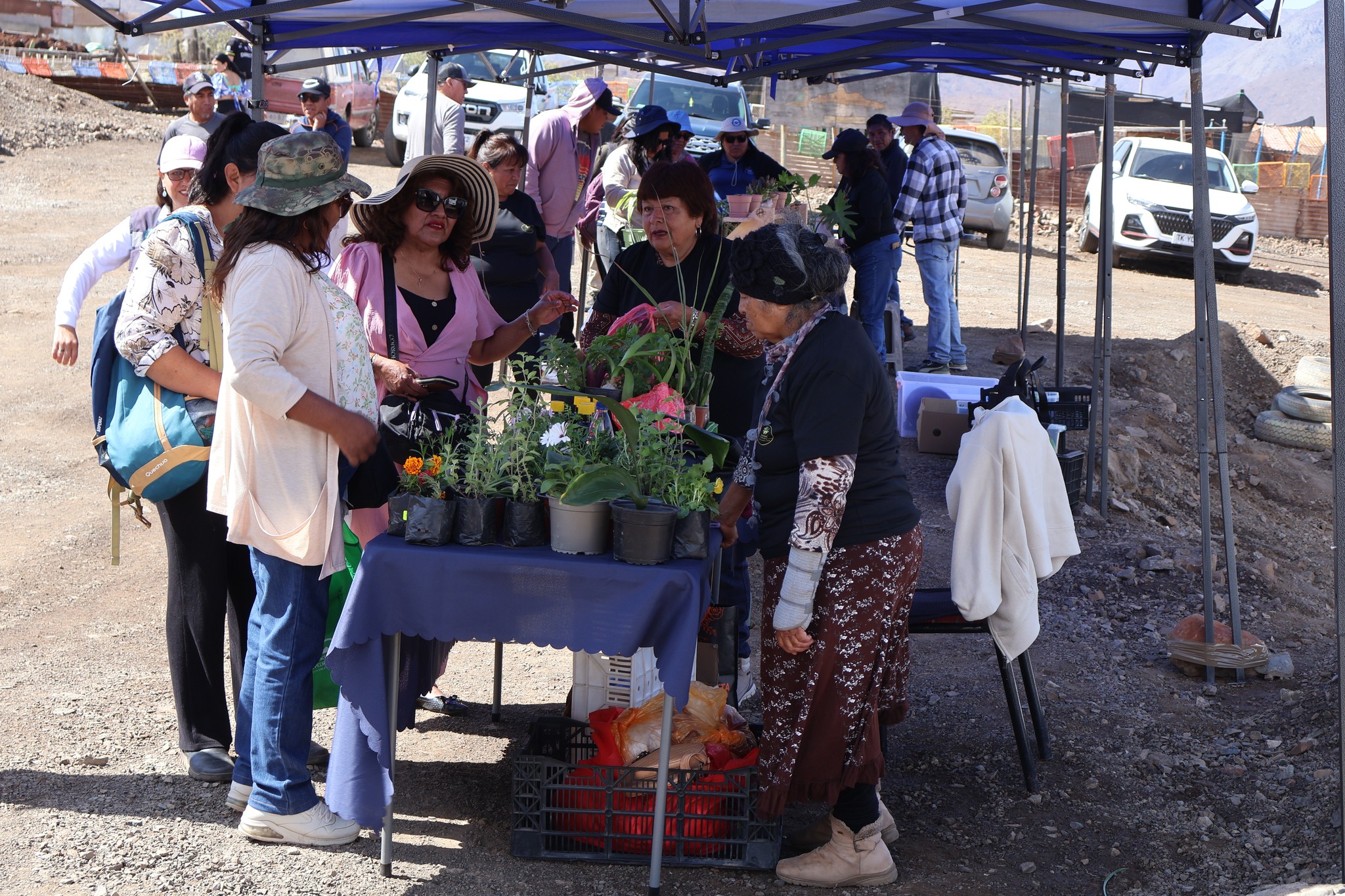Vecinas y visitantes recorren los stands de venta de plantas y flores en la feria costumbrista Los Loros 2025.