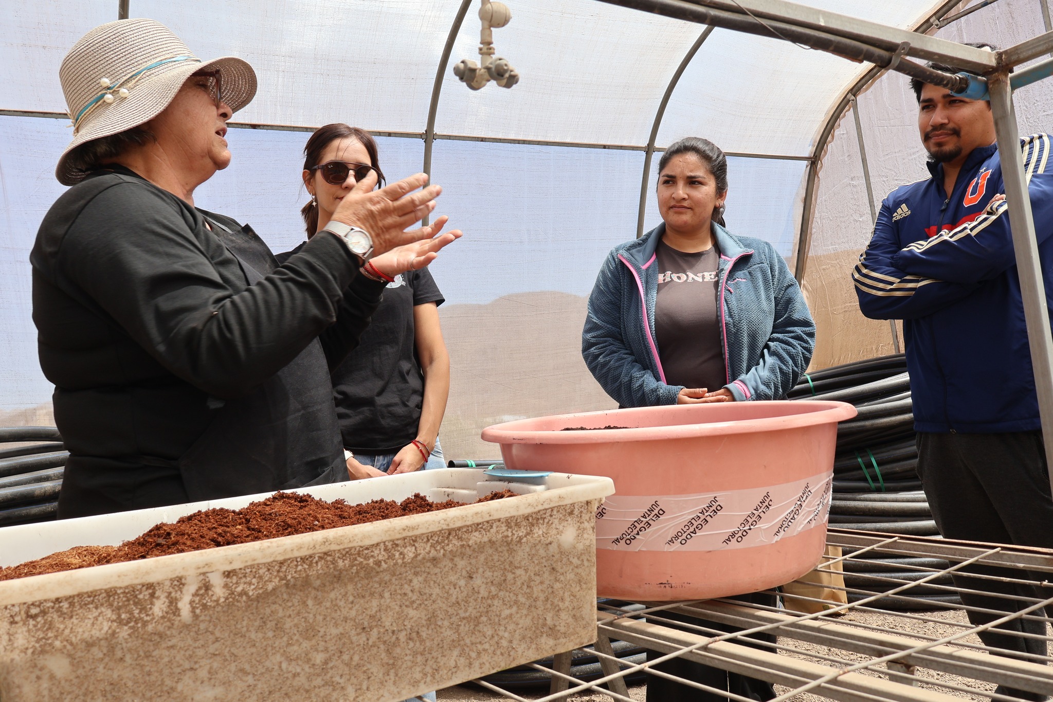 Integrantes de la Comunidad Agrícola Los Loros participan en taller práctico de cultivo y compostaje sustentable.