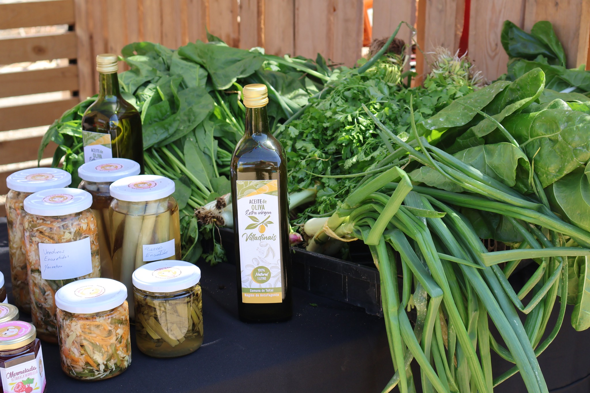 Exposición de productos agrícolas, conservas y aceite de oliva elaborados en la Comunidad Agrícola Los Loros.