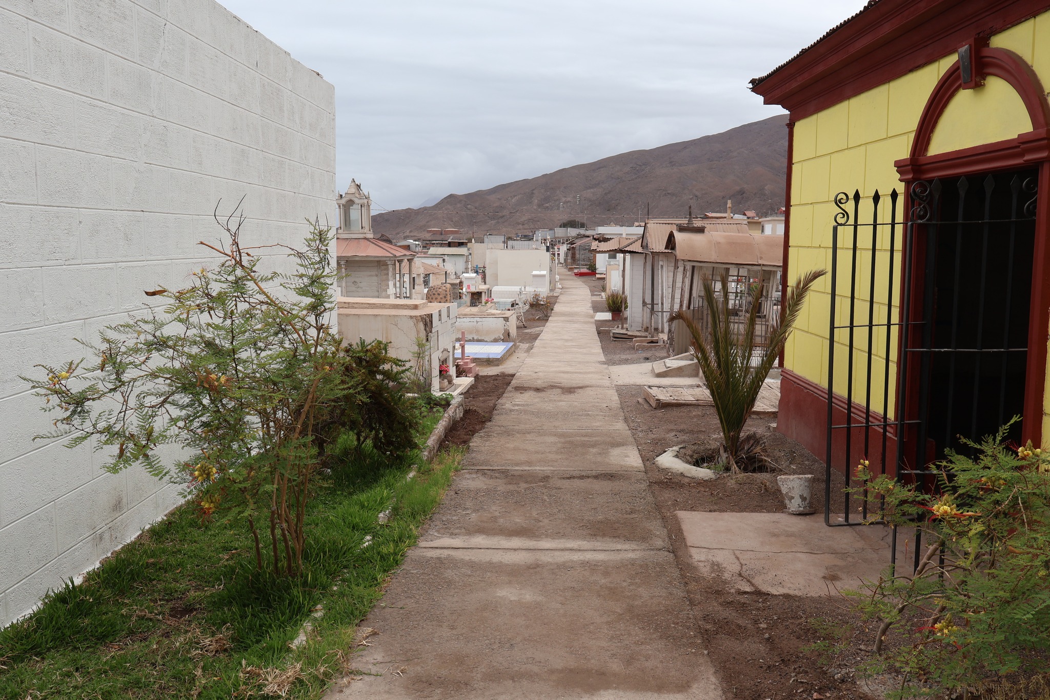 Vista general de los pasillos del Cementerio Municipal de Taltal, con tumbas históricas y áreas verdes mantenidas por el municipio.