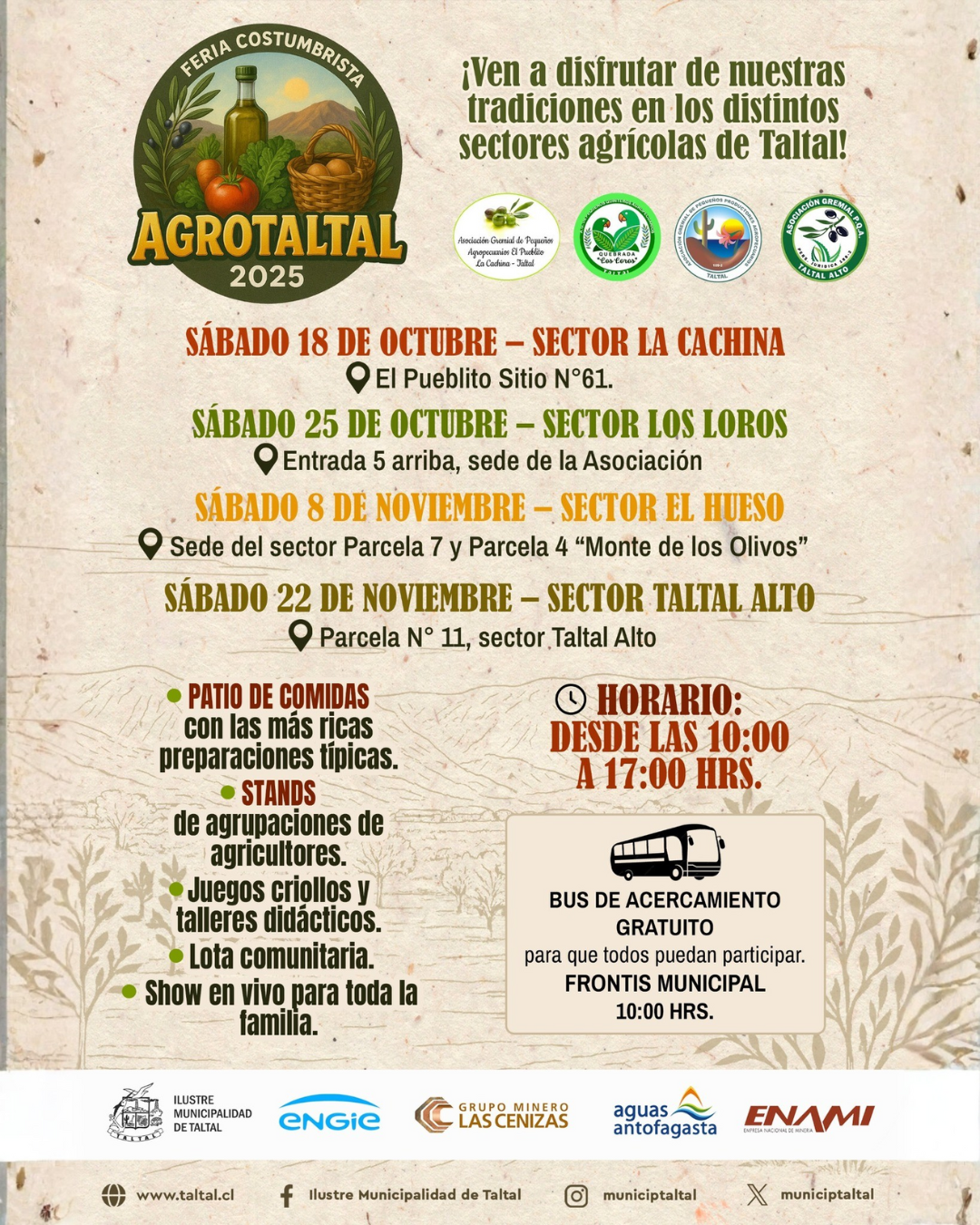 Estudiantes y vecinos de Taltal participando en la jornada de limpieza de playas 2025, organizada por la municipalidad junto a instituciones públicas y privadas.