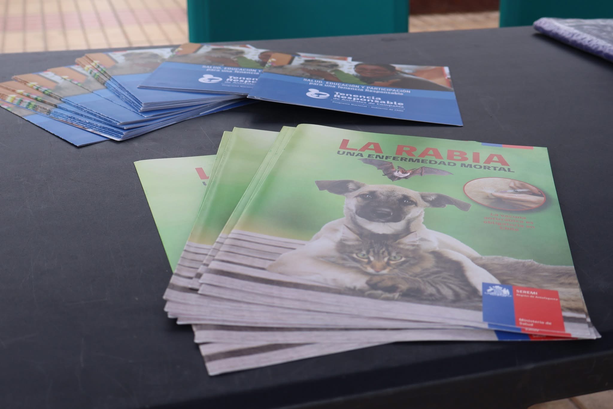 Material informativo sobre la rabia y tenencia responsable disponible en la jornada de adopción en Plaza Prat.