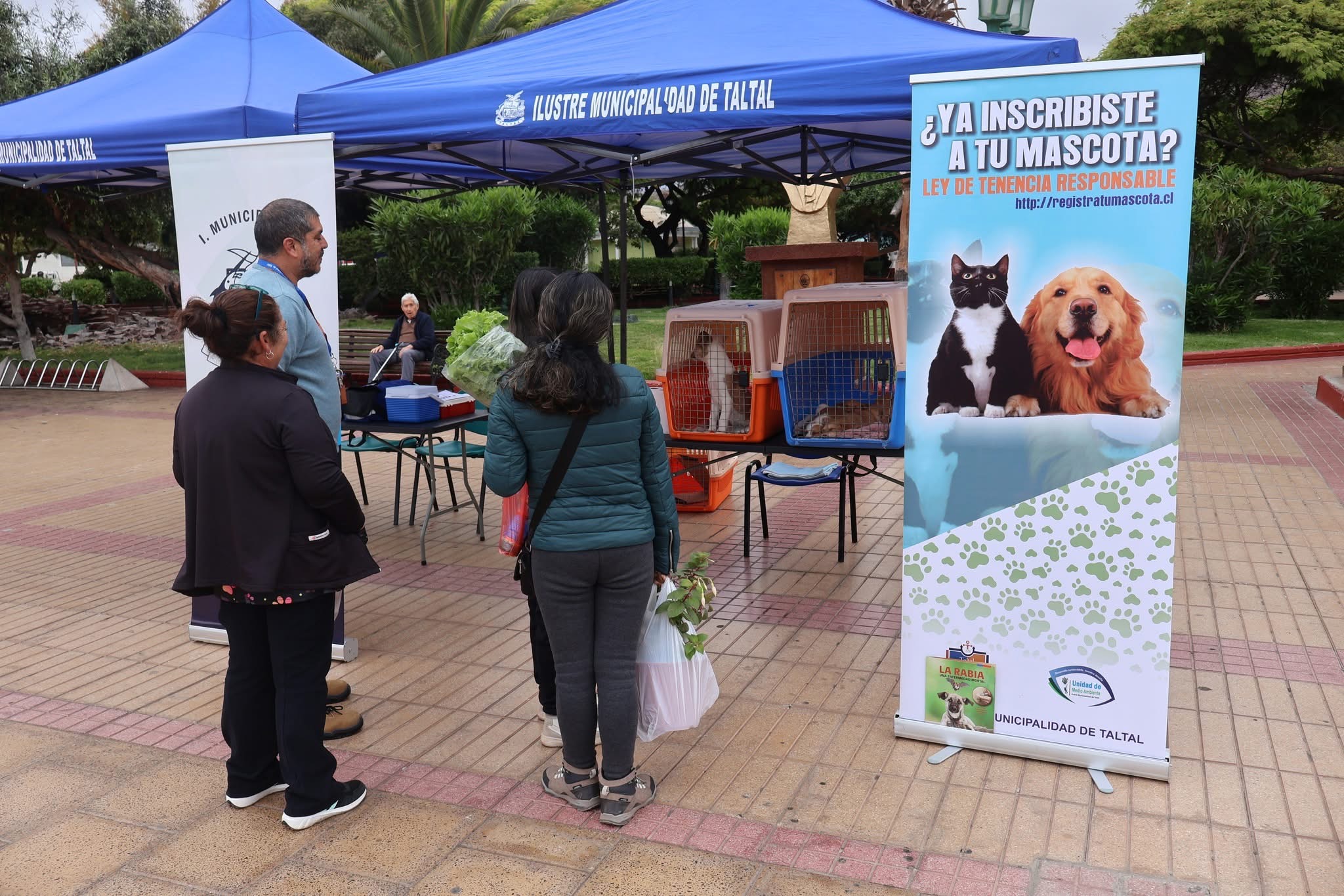 Familias observan a perritos en jaulas durante la jornada de adopción organizada por la Municipalidad de Taltal.