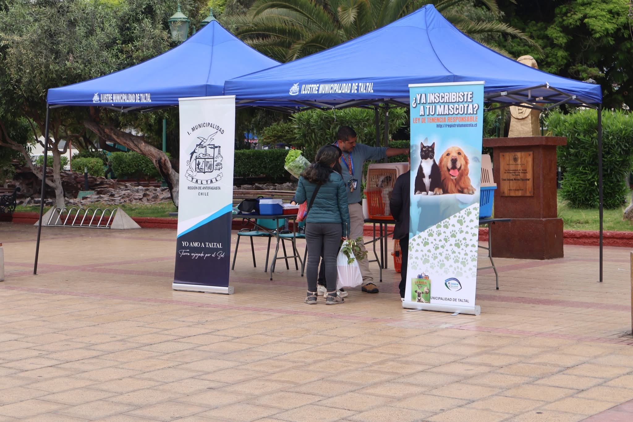 Stand municipal con jaulas de adopción y banners informativos en Plaza Prat, Taltal.
