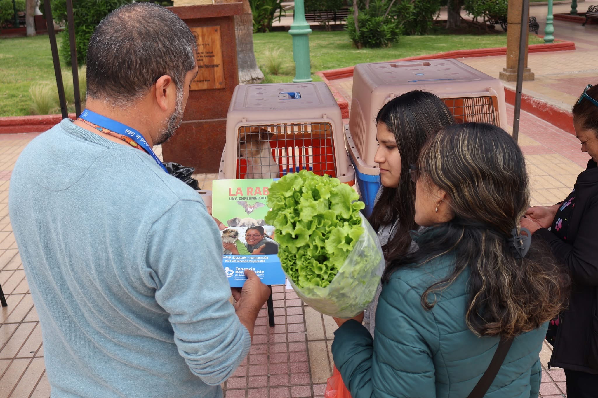Vecinos reciben información sobre tenencia responsable junto a las jaulas de mascotas en Plaza Prat, Taltal.