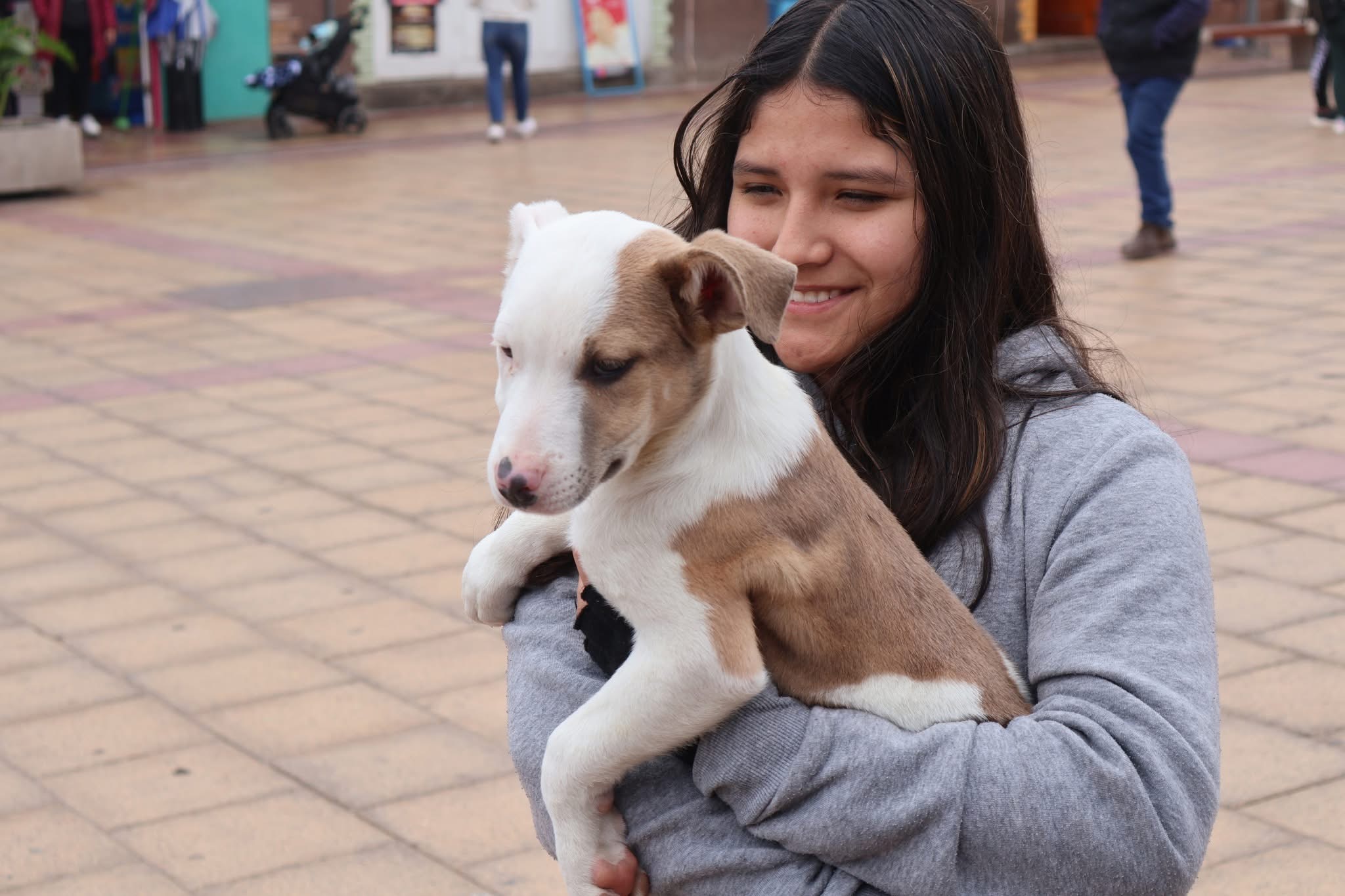 Joven sonriente sostiene en brazos a un cachorro durante la jornada de adopción en Plaza Prat, Taltal.