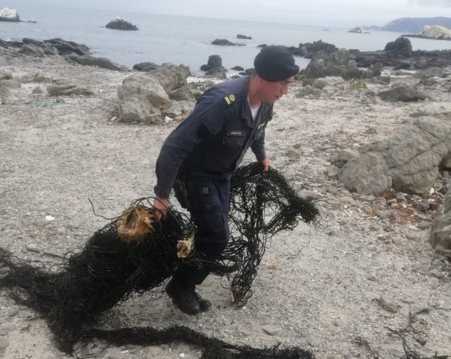 incautacion-huiro-negro-ilegal-taltal-armada-2025.jpg Funcionarios de Sernapesca y Armada fiscalizando plantas de procesamiento de algas en Taltal durante la incautación de 2,4 toneladas de huiro negro ilegal.