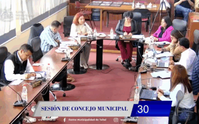 Taltal entre planes y realidades: las lecciones de la sesión N°30 del Concejo Municipal