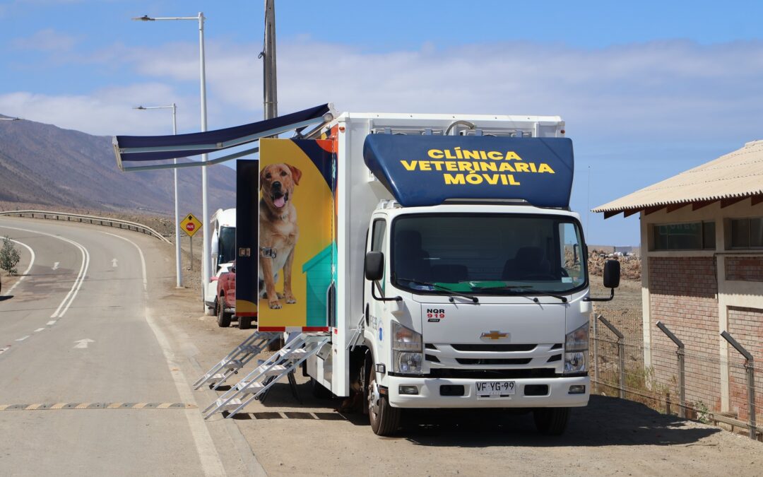 Clínica Veterinaria Móvil Municipal inicia su programación de diciembre en Taltal y Paposo