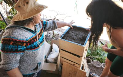 Capacitan a familias de Taltal en reciclaje de residuos orgánicos y vermicompostaje domiciliario