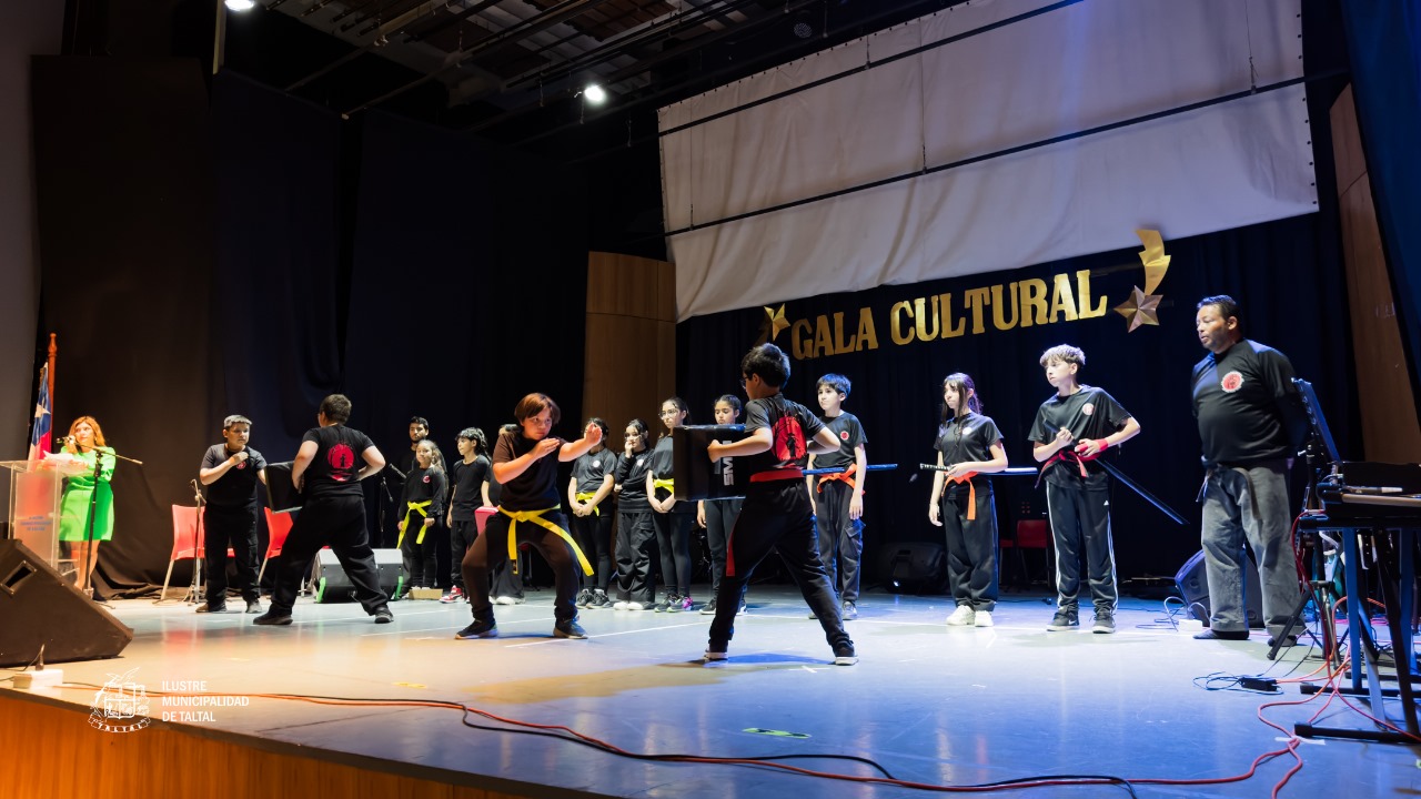 Presentación de la Academia de Artes Marciales con estudiantes realizando ejercicios de combate o defensa personal en el escenario.