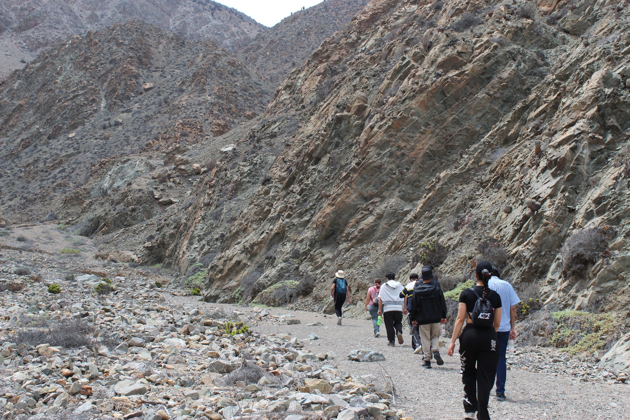 Encuentro comunitario de medicina ancestral Changa con estudiantes universitarios en territorio de Taltal.