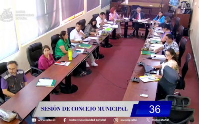 EDITORIAL | Concejo Municipal N°36 de Taltal: patentes de alcohol, fiscalización y orden administrativo