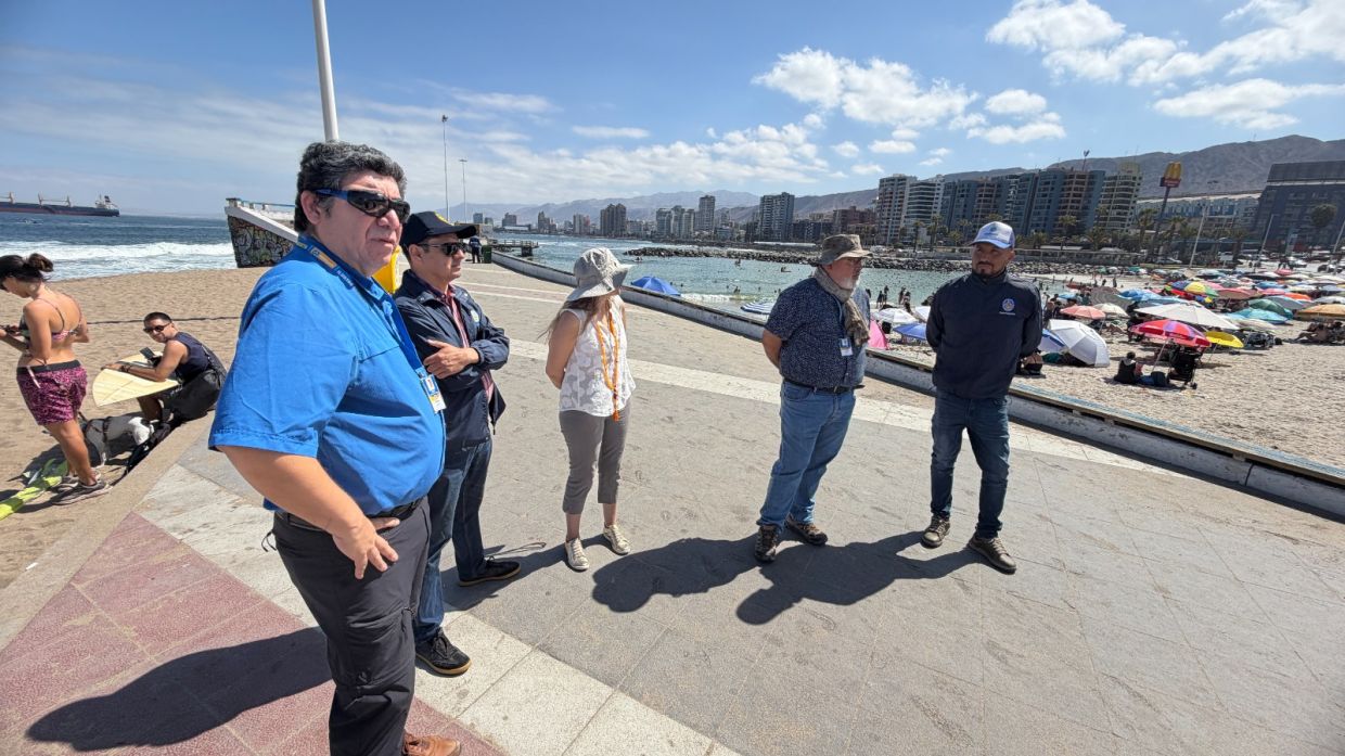 Municipalidad de Antofagasta habilita espacios formales para food trucks en Playa Paraíso y Balneario Municipal durante temporada estival