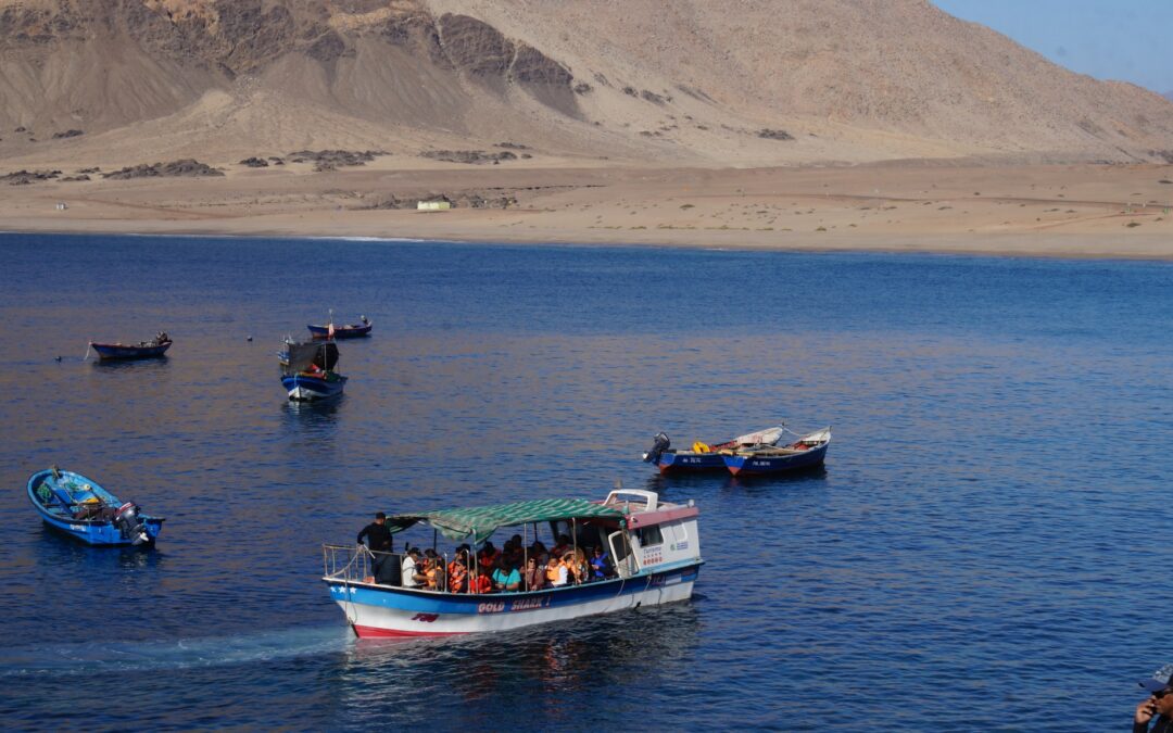 Fiesta de Colores llenará de música y energía la Caleta Cifuncho este 17 de enero