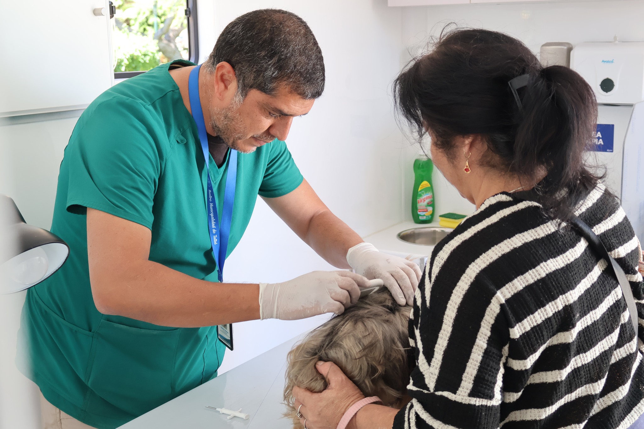 Clínica Veterinaria Móvil Municipal atiende mascotas en la Plaza de Armas de Taltal