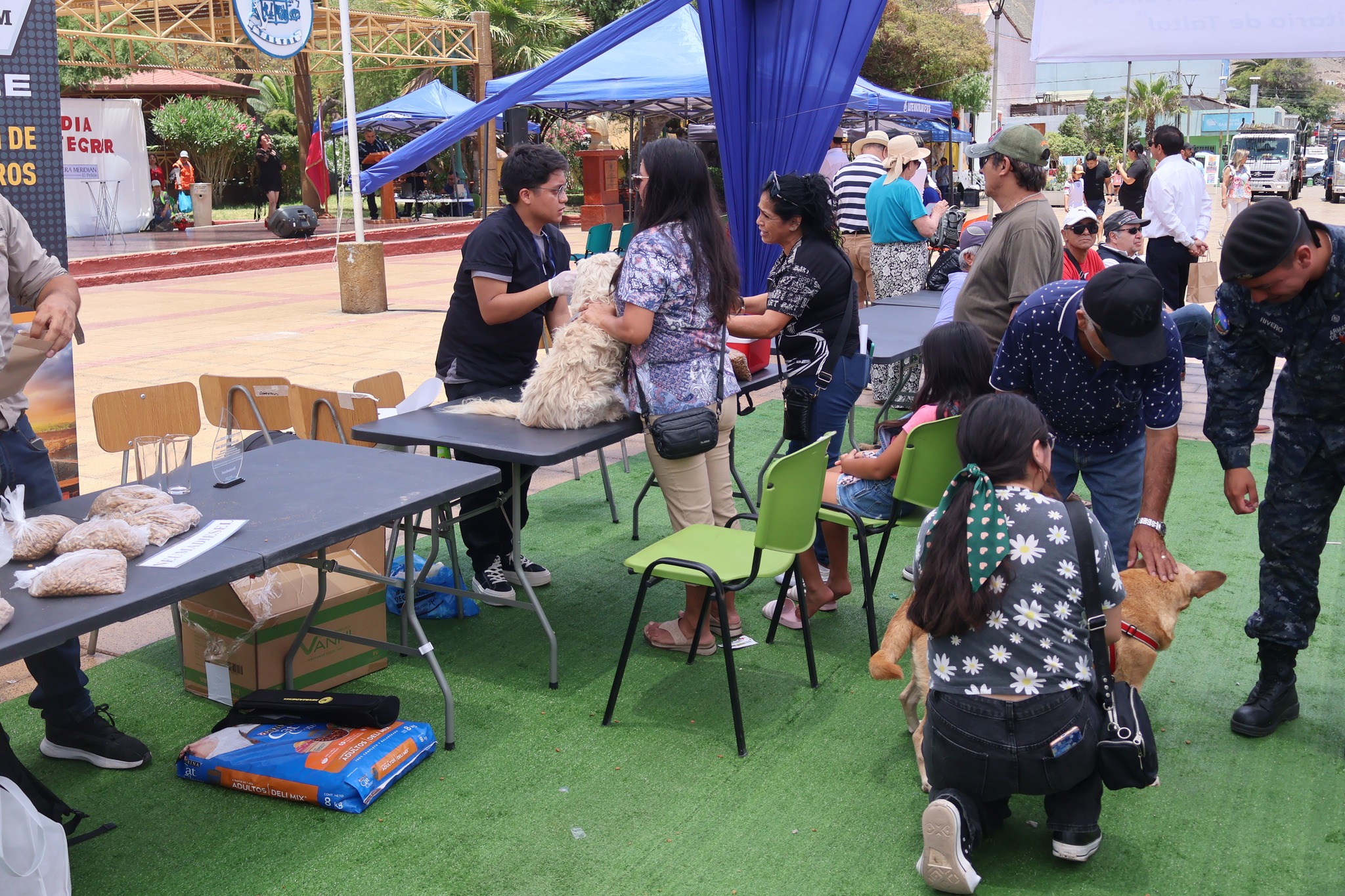 Veterinarios atendiendo mascotas de vecinas en la jornada de bienestar comunitario.