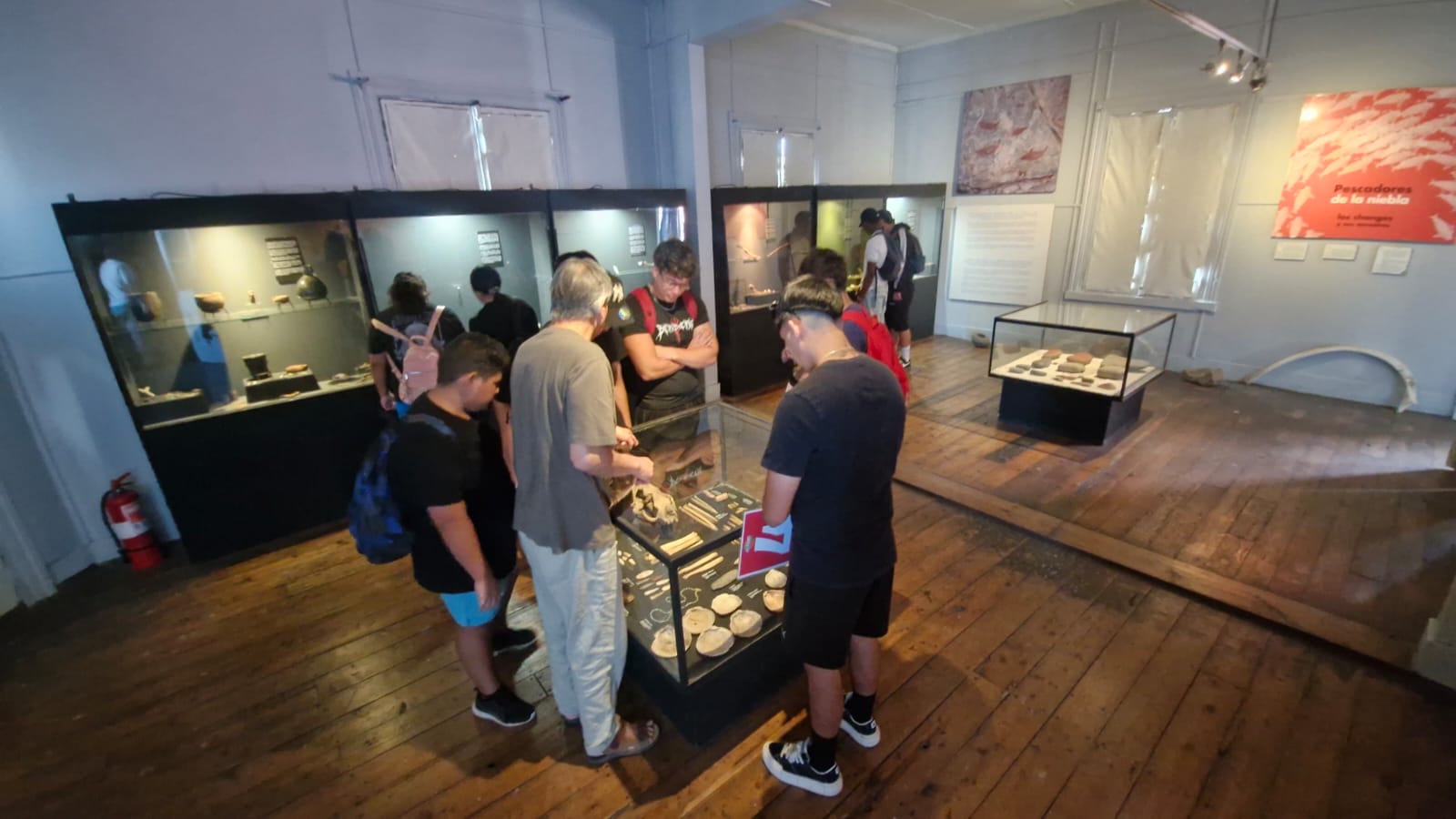 Visitantes examinando restos óseos y piezas arqueológicas en vitrina central.