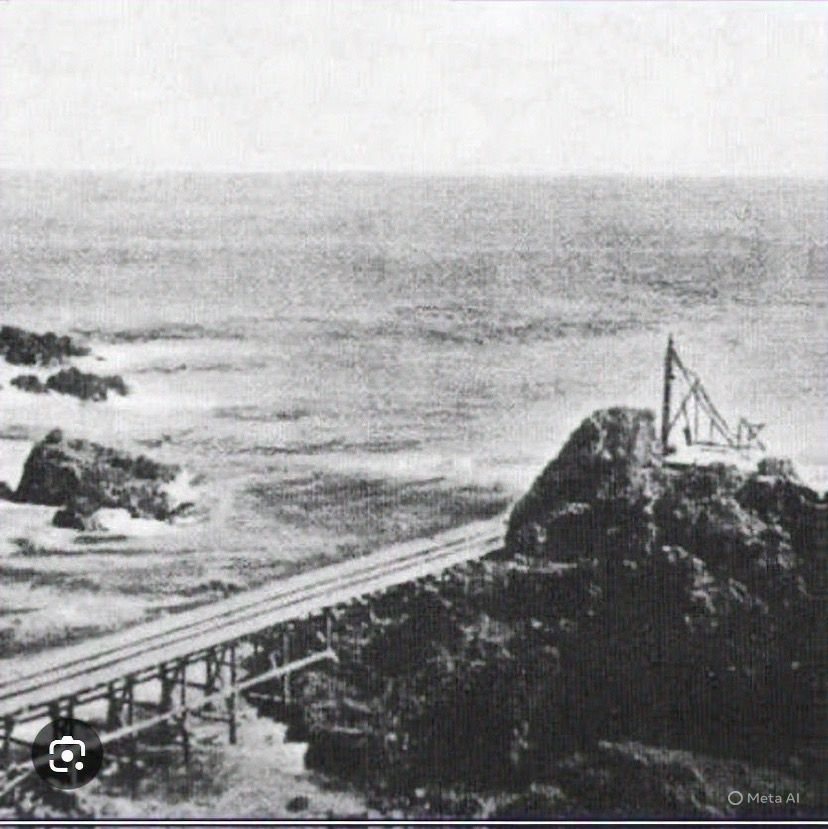 Fotografía histórica que muestra la infraestructura original y el muelle de carga en Puerto Oliva durante el auge salitrero.