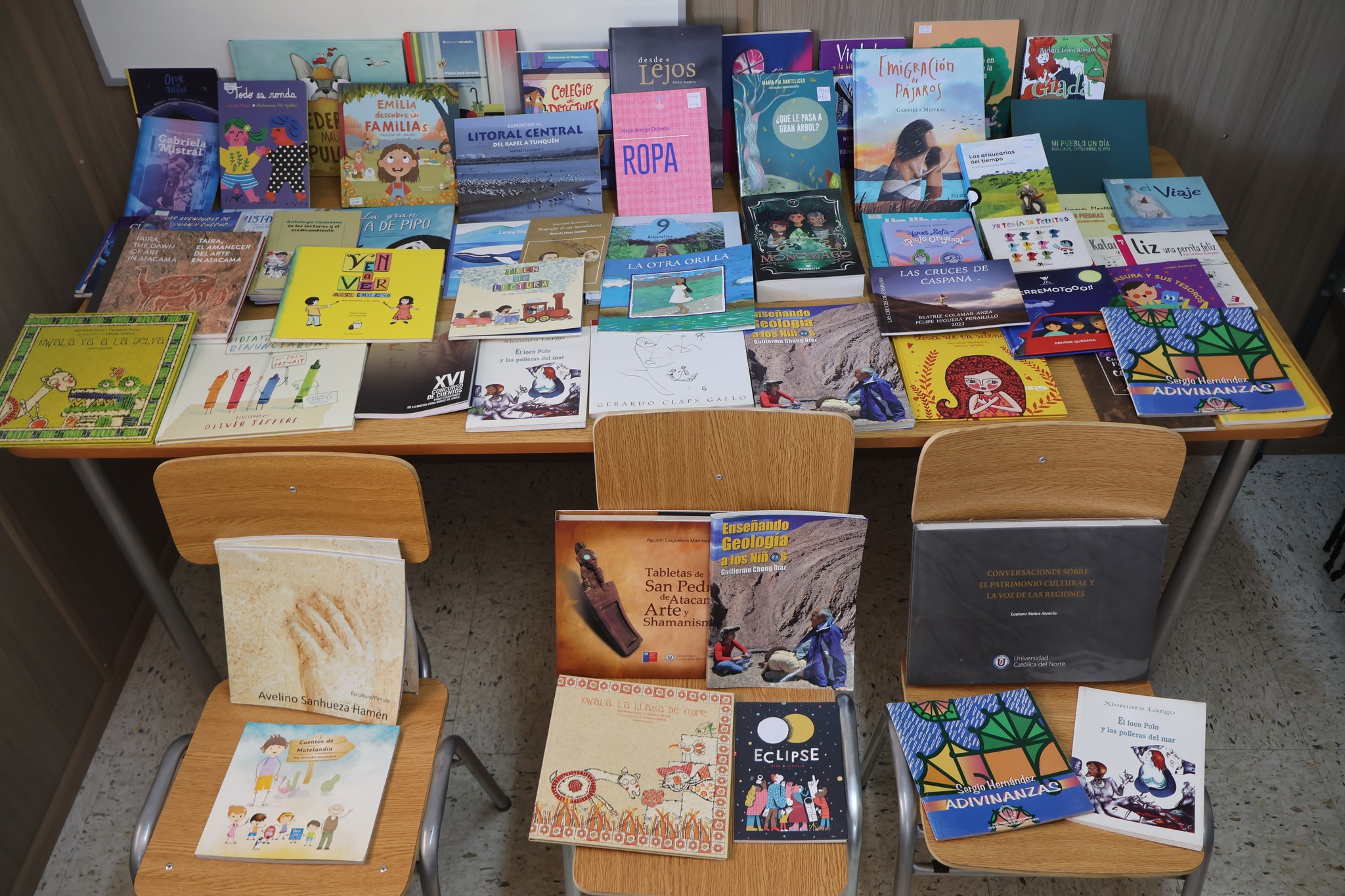 Exhibición de libros infantiles y juveniles disponibles tras la donación para la Biblioteca de Caleta Cifuncho.
