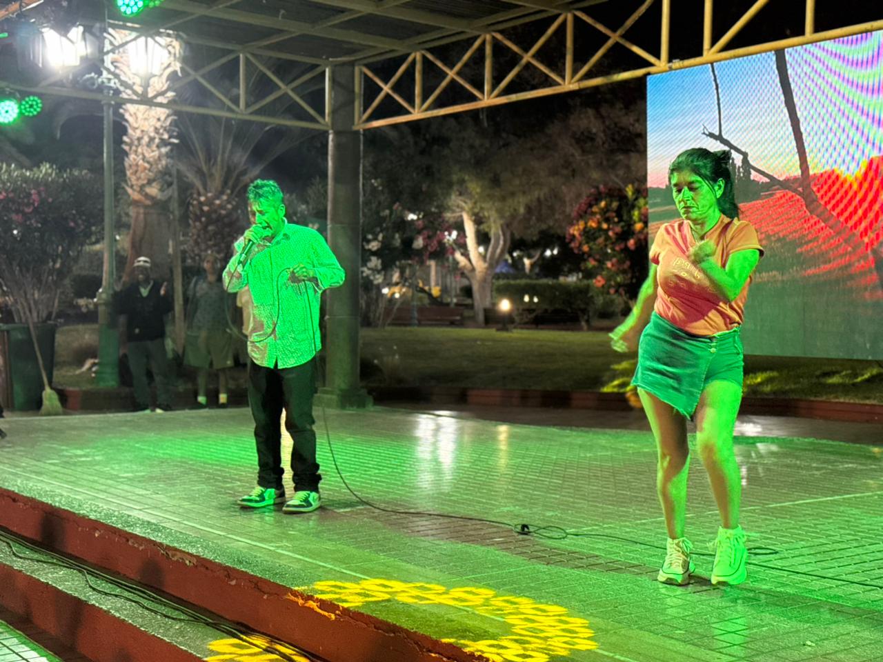 Participante interpretando canción en el escenario durante la Gran Final de Karaoke del Verano 2026 en Taltal.