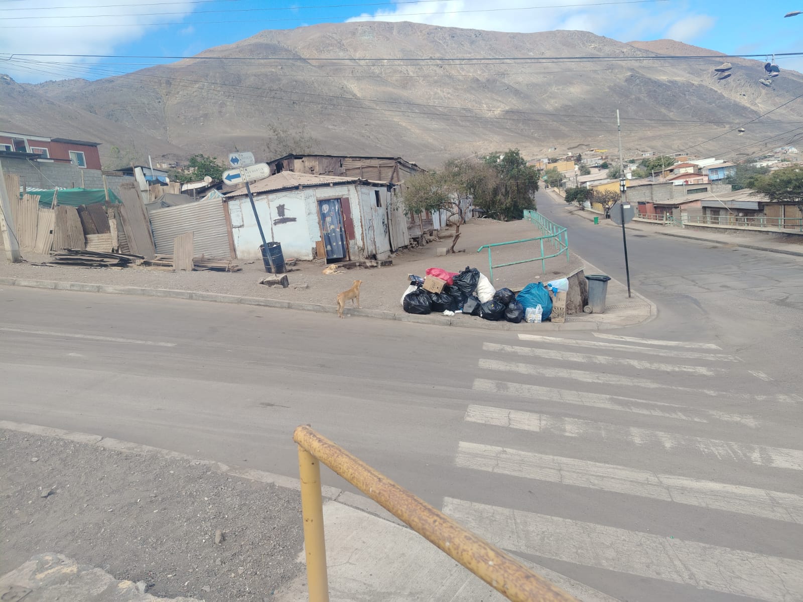 Acopio de bolsas y residuos en esquina del sector República–San Martín, previo a retiro y limpieza en Taltal.