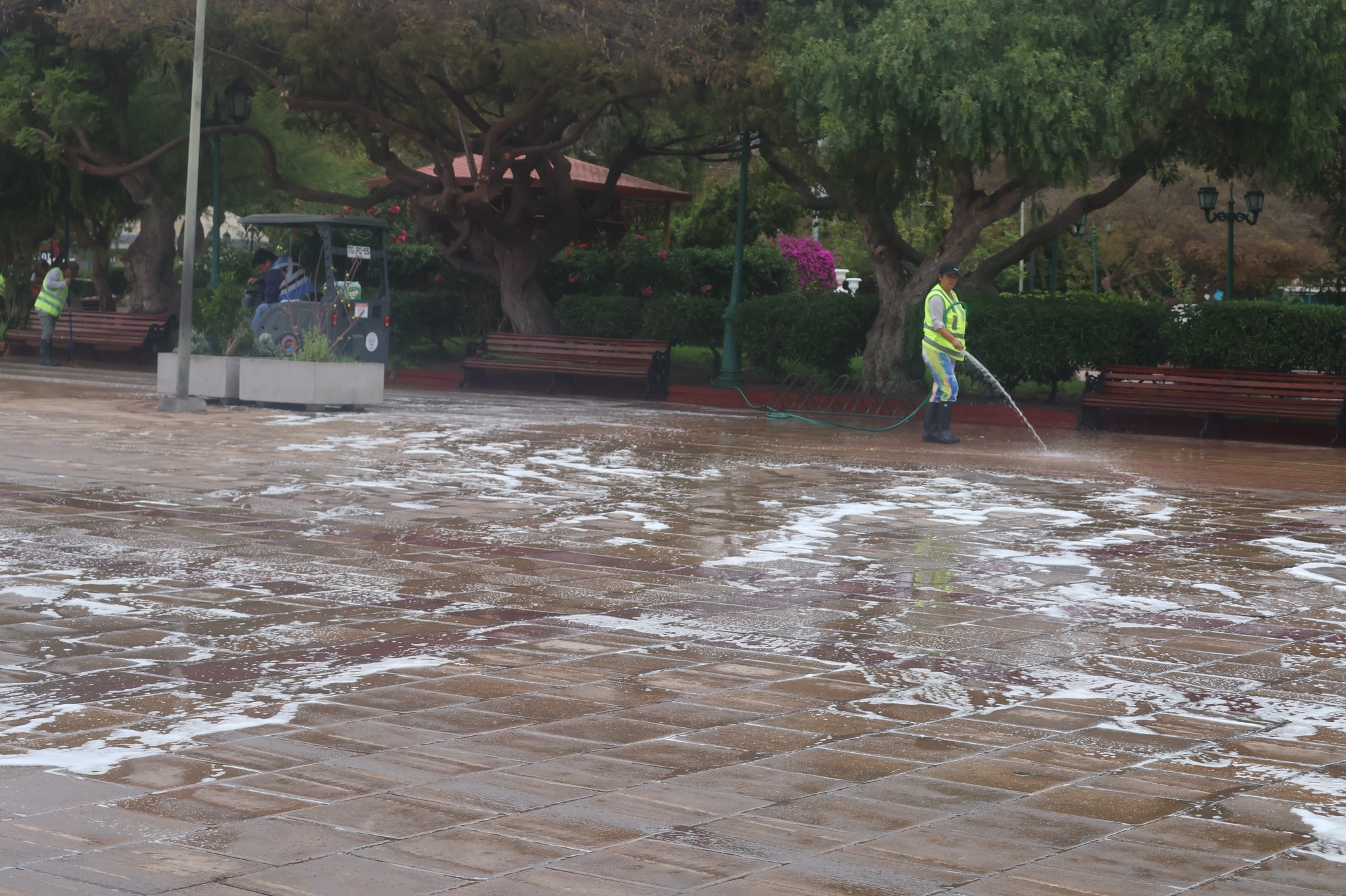 Funcionario del Departamento de Aseo y Ornato de Taltal utilizando manguera durante operativo de limpieza en Plaza Prat.