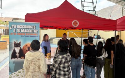 SENDA Previene y Liceo Juan Cortés Monroy realizaron jornada preventiva en Taltal en el marco del inicio del año escolar