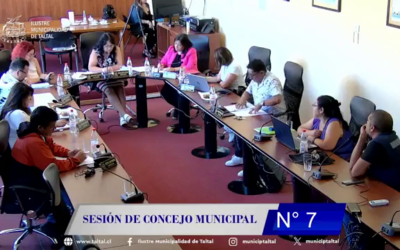 #EDITORIAL | Sesión de Concejo Municipal 2026 Nº 7: Taltal esterilizará mil mascotas con fondos de la Subdere: Concejo aprueba adjudicación del PTRAC por $43,2 millones