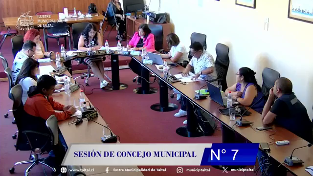 Concejo Municipal de Taltal aprueba adjudicación del PETRAC para esterilizar mil mascotas con fondos Subdere.