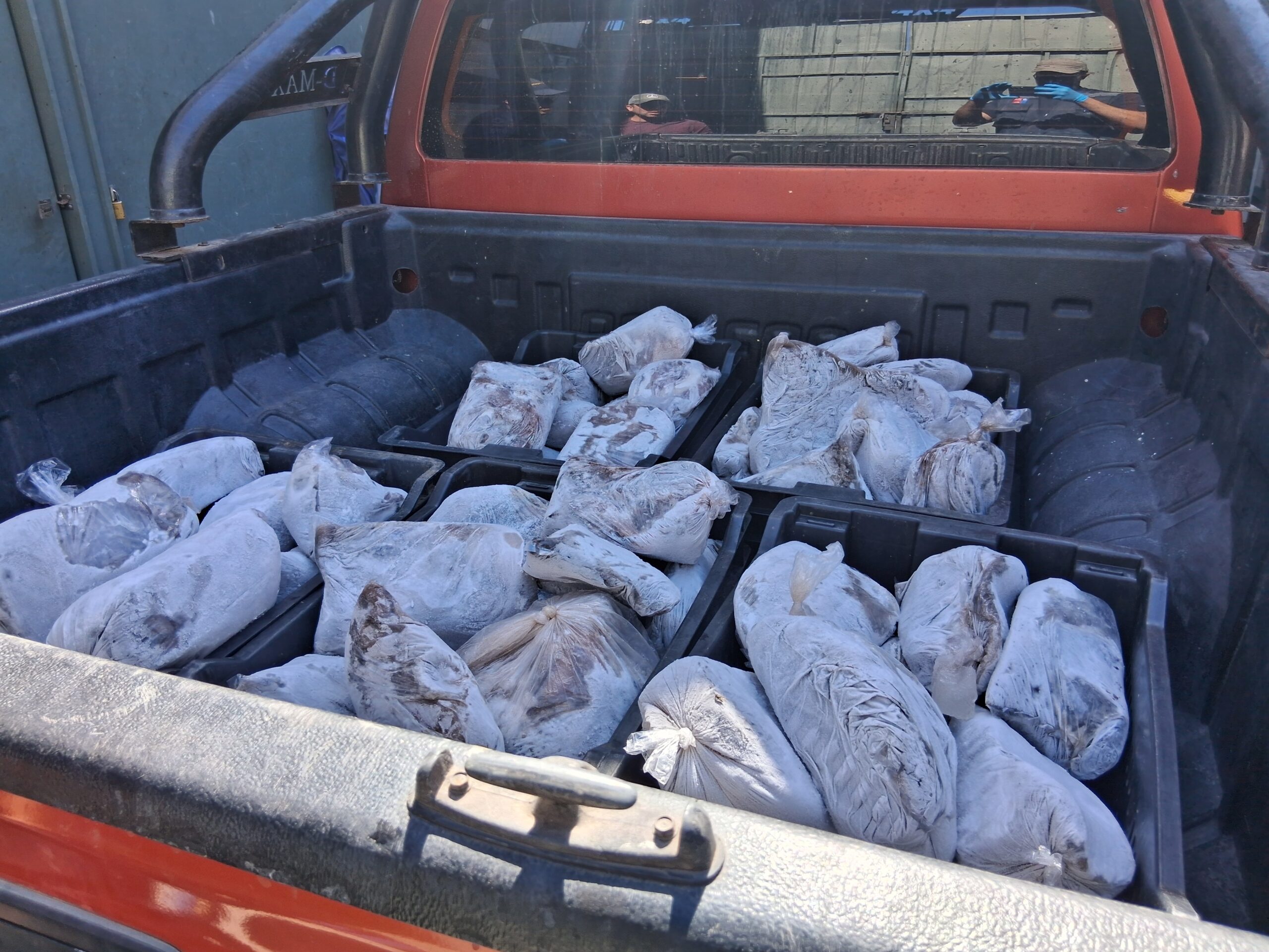 Pulpo del norte incautado por Sernapesca durante fiscalización a comercializadora de productos del mar en Taltal